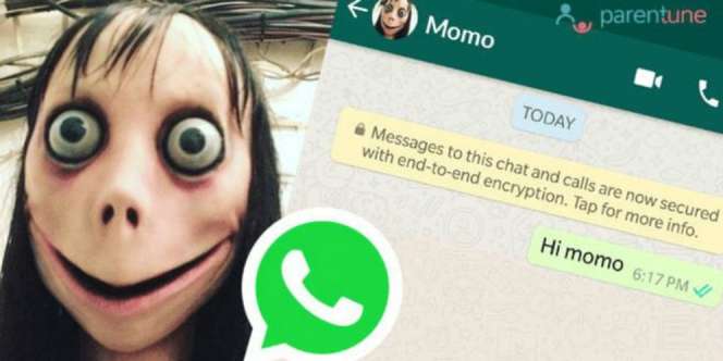 5 Fakta Mengerikan Momo Challenge, Para Ibu Waspadalah!