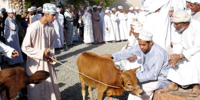 Tuntunan Penyembelihan Hewan Menurut Islam