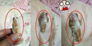 Benda Misterius Terselip di Bantal Asrama, Mahasiswa Ngeri Saat Tahu Isinya