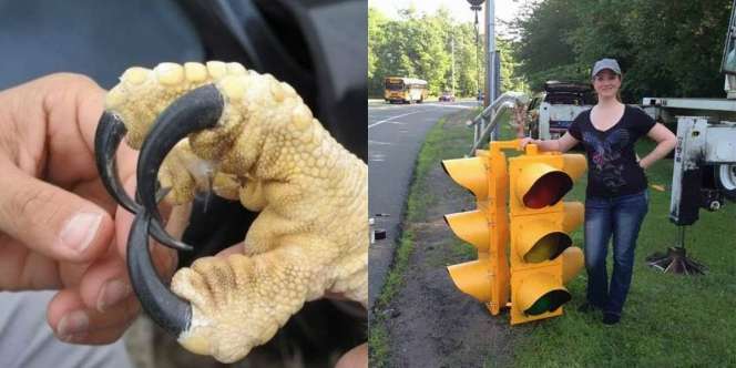 Semuanya Serba BESAR!