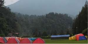 Gunung Gede Pangrango Ditutup, Kemah Saja di Mandalawangi