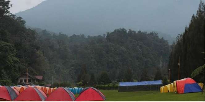Gunung Gede Pangrango Ditutup, Kemah Saja di Mandalawangi