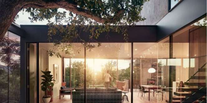 Mewahnya Rumah yang Kelilingi Pohon Oak Raksasa
