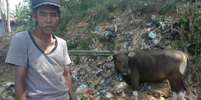 Kisah Aco, Pria Dicap Kurang Waras yang Berkurban Seekor Sapi