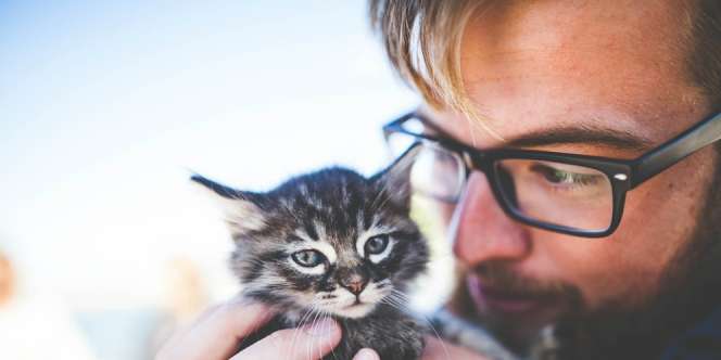Di Kantor Ini, Staf yang Punya Peliharaan Boleh Kerja dari Rumah