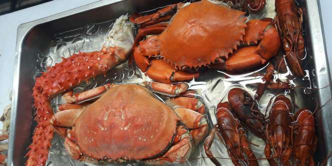 Yummy... Chef Buka Rahasia Buka Cangkang Kepiting