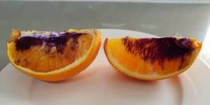 Jeruk Berubah Warna Usai Dilahap Anak, Ibu Ini Syok