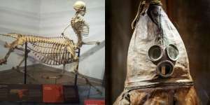 19 Koleksi Langka Museum, Ada Sandal Jepit Firaun