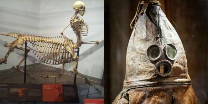 19 Koleksi Langka Museum, Ada Sandal Jepit Firaun