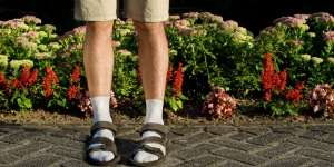 Selain Dilarang, Ini Alasan Pria Tak Pakai Celana Pendek ke Kantor