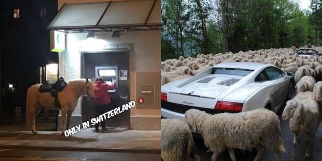 15 Hal yang Buatmu Ingin Teleportasi ke Swiss Sekarang Juga