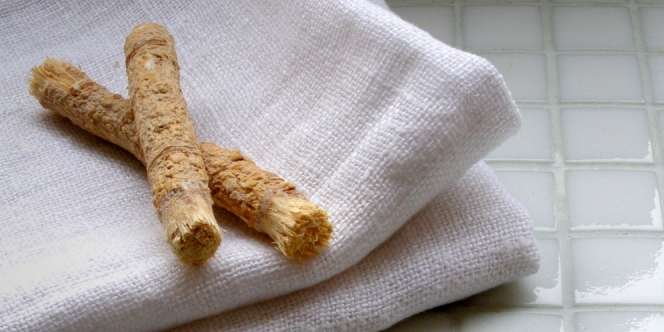 Siwak, Sikat Gigi Kuno Sejuta Khasiat