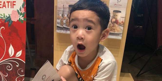 Raffi Ahmad Pamer Foto Bareng Jokowi, Reaksi Rafathar Mengejutkan