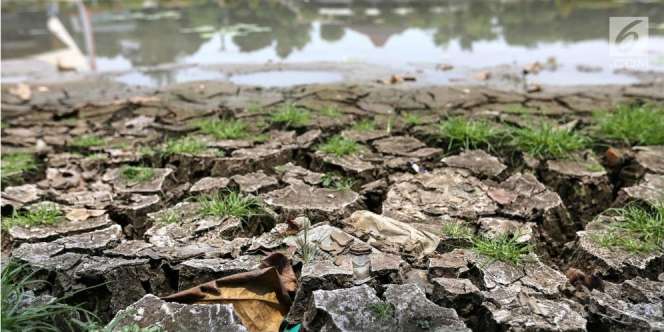 Musim Kemarau Bakal Makin Panjang, Ini Penyebabnya