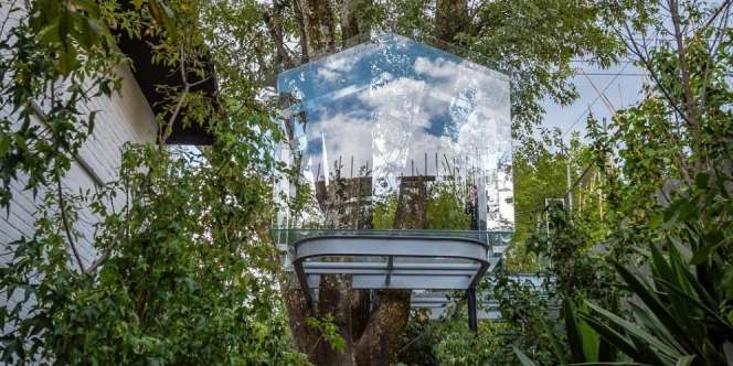 Rumah Pohon dari Kaca, Desainnya Super Mewah