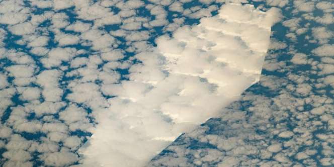 Bongkahan Es di Antartika Mirip Peti Mati, Bergerak ke Utara