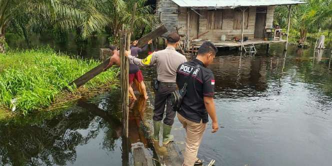 Tragis, Bocah 7 Tahun Diseret Buaya Disaksikan Sang Ibunda