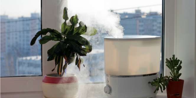 Udara di Kamar Lebih Sehat dengan Humidifier