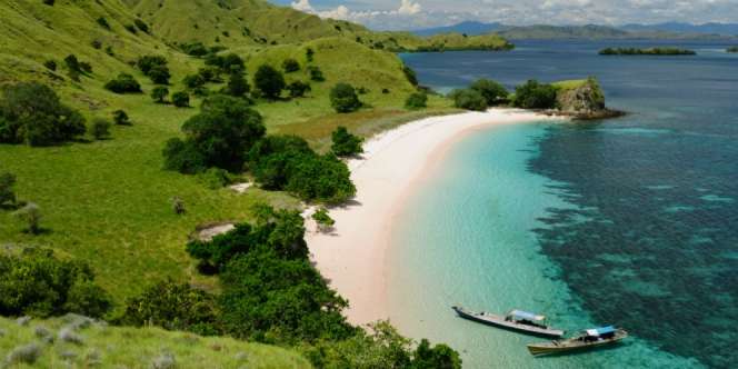 Jangan Lakukan Hal Ini Saat Traveling ke Pulau Komodo