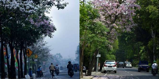 Viral! Banyak yang Mengira Foto Ini di Luar Negeri, Padahal Surabaya