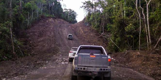 Fakta dan Data 35 Proyek Jembatan di Jalur Trans Papua