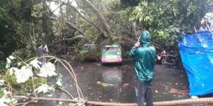 Video Puting Beliung Terjang Kota Bogor, Pohon Timpa Mobil