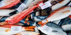 Pasar Jadi Heboh Gara-gara Tukang Ikan Cantik Ini