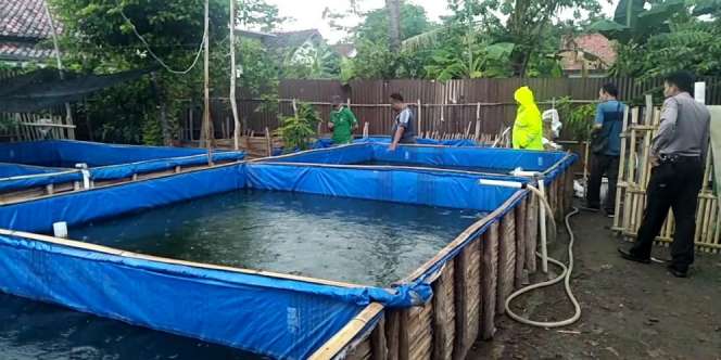 Dipanggil Tak Menyahut, Astaga! Balita Tewas di Kolam Lele