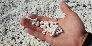 Ada Popcorn di Pantai Ini, Tapi Tak Bisa Dimakan