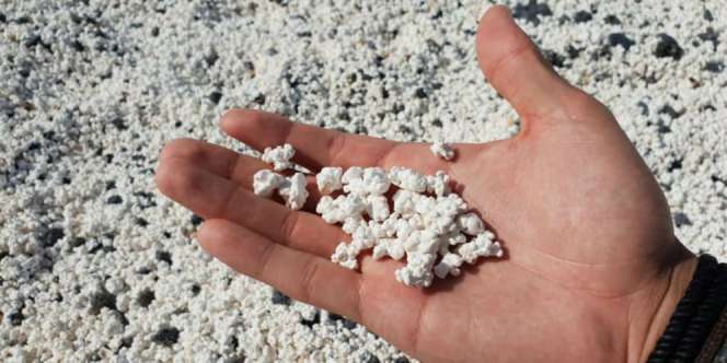 Ada Popcorn di Pantai Ini, Tapi Tak Bisa Dimakan
