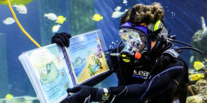 Seru, Legoland Malaysia Kini Punya Koleksi Makhluk Laut