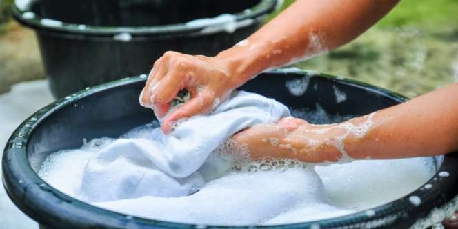 Bisakah Najis Anjing Dibersihkan dengan Sabun?