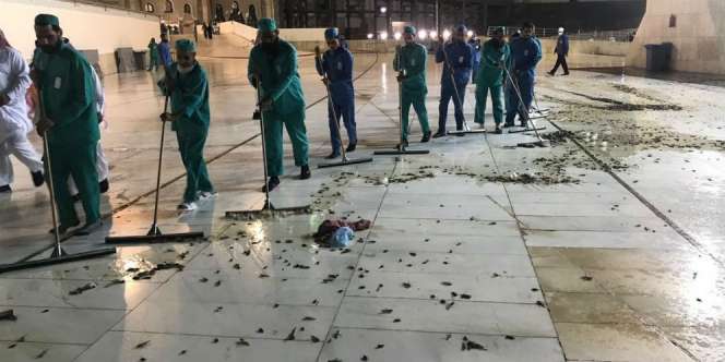 Pertama Kalinya, Wabah Jangkrik Serang Masjidil Haram