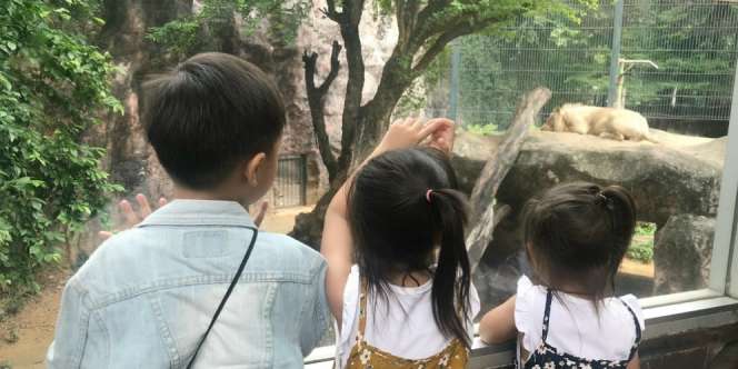 Punya 3 Anak, Pemerintah Negara Ini Bakal Berikan Tanah Gratis