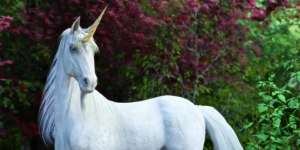 Rekonstruksi Kerangka Unicorn Jadi Bahan Tertawaan