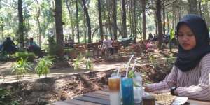 Lepas Penat, Menikmati Segarnya Udara Hutan Pinus di Kediri