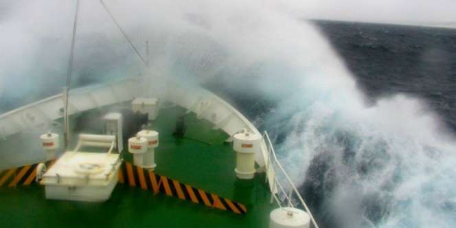 Gelombang Tinggi Mengintai Indonesia 3 Hari ke Depan, Status Bahaya!