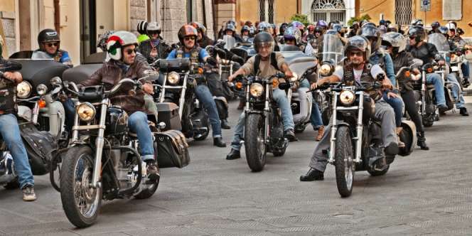 Harley Davidson Edisi 2019 Masuk Indonesia, Harga Lebih Terjangkau?