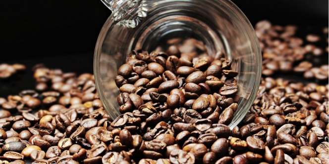 Kabar Buruk Bagi Pecinta Kopi, 'Si Pahit' Terancam Punah