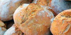 Ada Kue Nikmat Terbuat dari Jangkrik, Berani Coba?