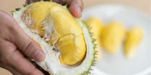 Deretan Durian Mahal Berharga Miliaran