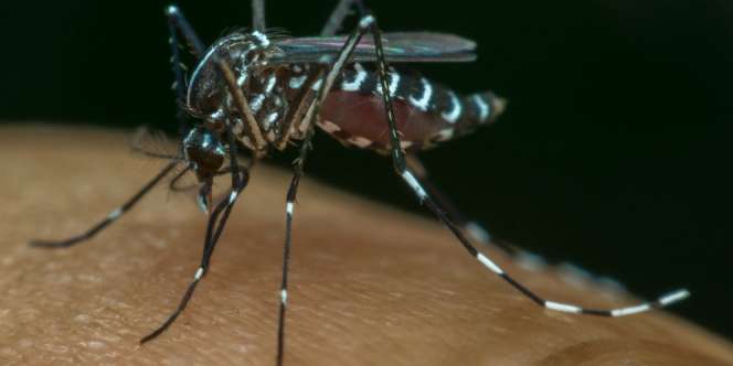 Waspada, Jam-jam Berikut Nyamuk DBD Menggigit Anak di Sekolah