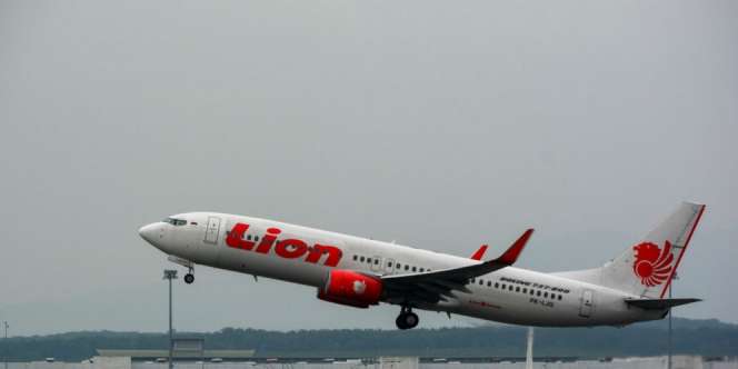 Sejak Terapkan Bagasi Berbayar, Lion Air Klaim Lebih Tepat Waktu
