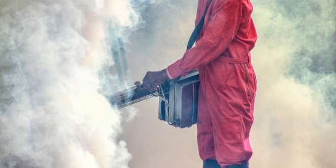 Fakta Mengejutkan Masa Berkembang Nyamuk, Segera Basmi Sarangnya!