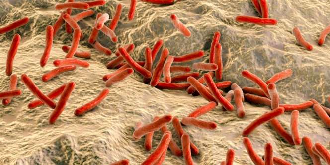 Penyakit Kusta Bukan Kutukan, Bisa Sembuh dalam Waktu 3 Bulan