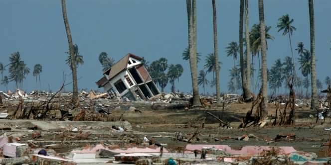 Fakta Mengejutkan Gempa Palu 2018, Ilmuwan Dunia Sampai Merinding