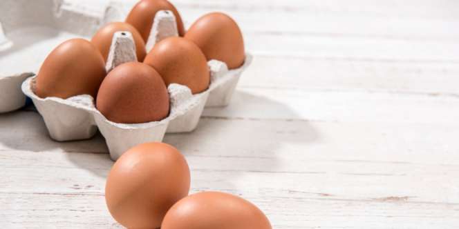 Fakta Mengejutkan di Balik Akun Telur dengan 10 Juta Followers