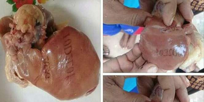 Geger Temuan Hati Ayam Bertuliskan Kombinasi Kode