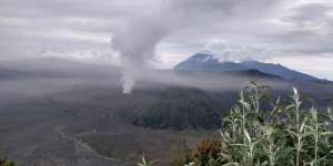 Gunung Bromo Meletus