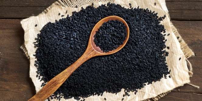 5 Tanaman Obat yang Dikirim Allah SWT sebagai Berkah